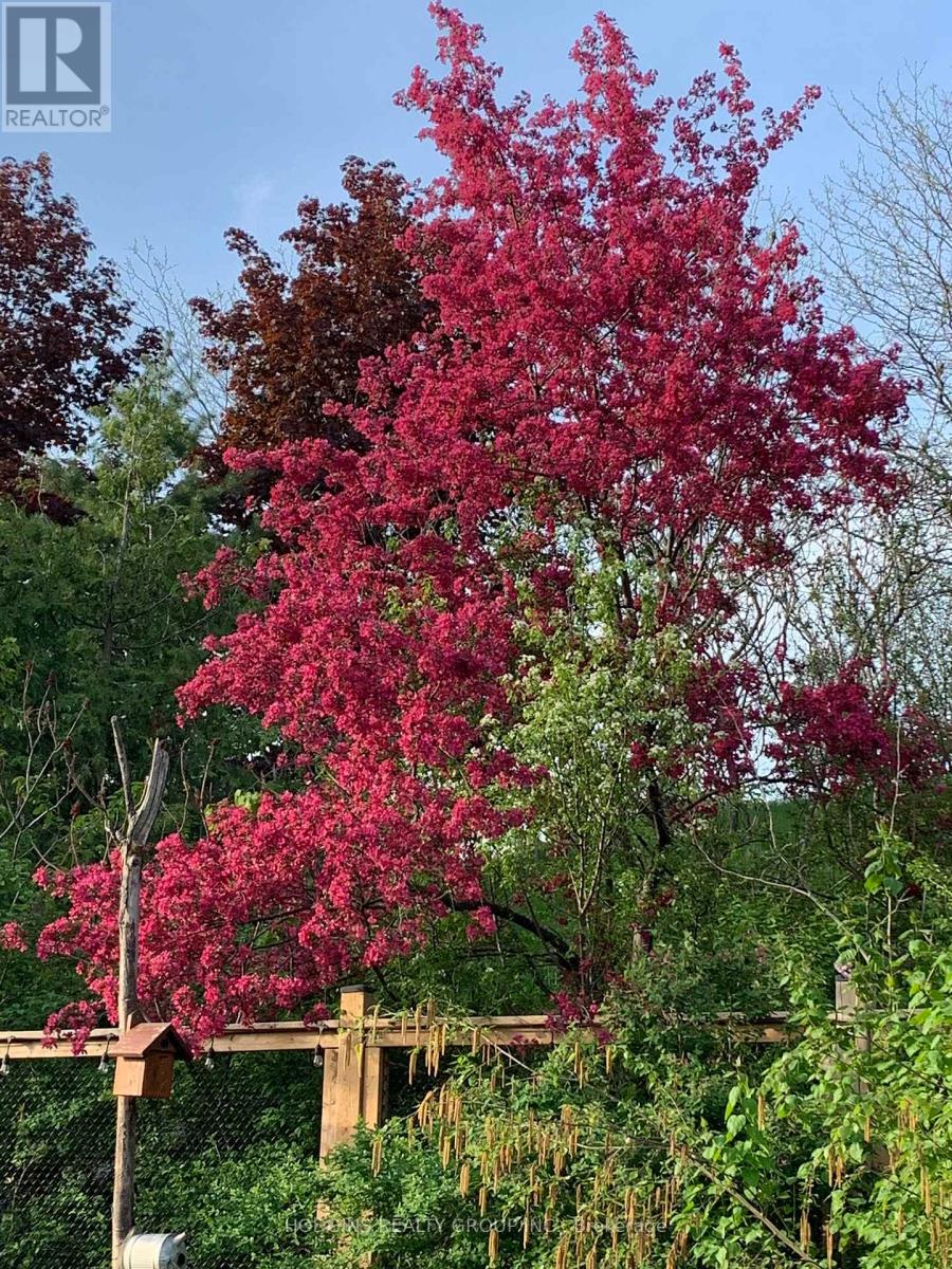 2286 Yorktown Circle, Mississauga, Ontario  L5M 5Y1 - Photo 29 - W12563528