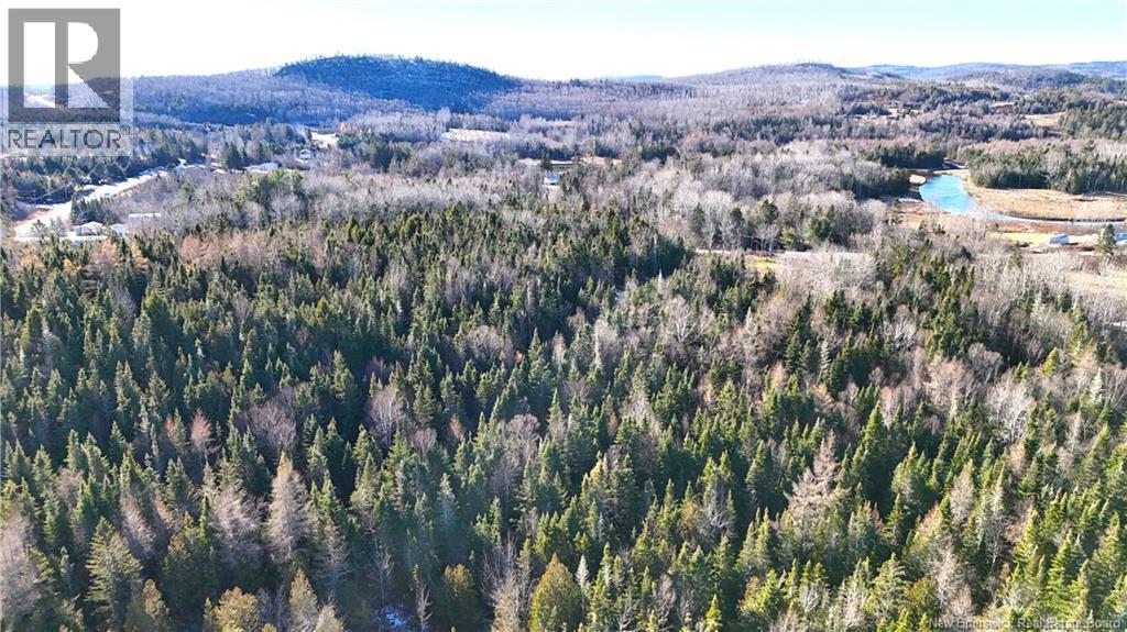 43 Spur No.1 Road, Bocabec, New Brunswick  E5B 3K1 - Photo 27 - NB129658
