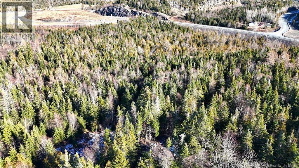 43 Spur No.1 Road, Bocabec, New Brunswick  E5B 3K1 - Photo 24 - NB129658