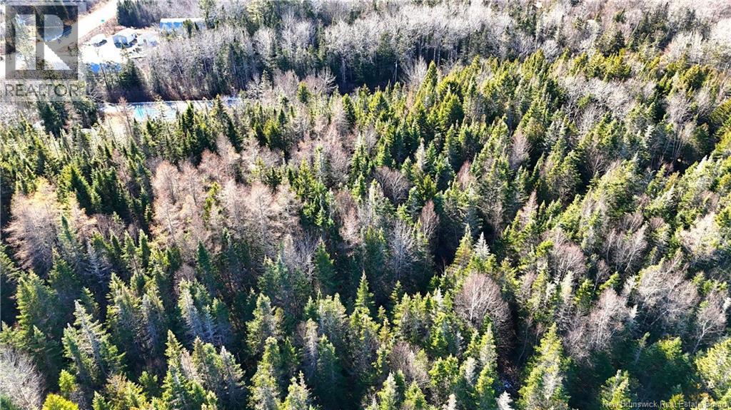 43 Spur No.1 Road, Bocabec, New Brunswick  E5B 3K1 - Photo 29 - NB129658