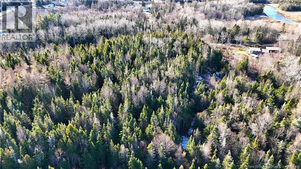 43 Spur No.1 Road, Bocabec, New Brunswick  E5B 3K1 - Photo 28 - NB129658