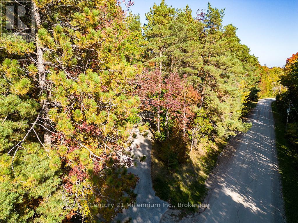 265797 25th Side Road, Meaford, Ontario  N4L 1W5 - Photo 5 - X12563658