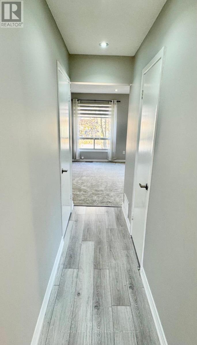 Property at 16 FRANKLIN COURT image 3