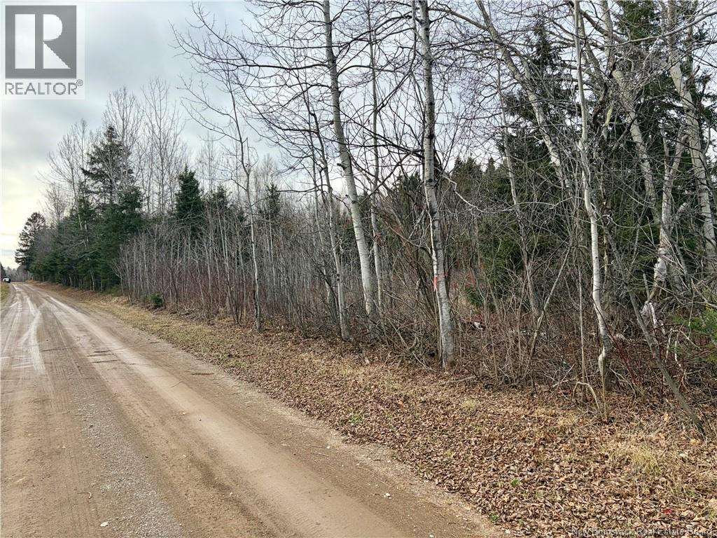 Vacant Land Cook Rd, Blackland, New Brunswick  E8E 2T9 - Photo 2 - NB130324