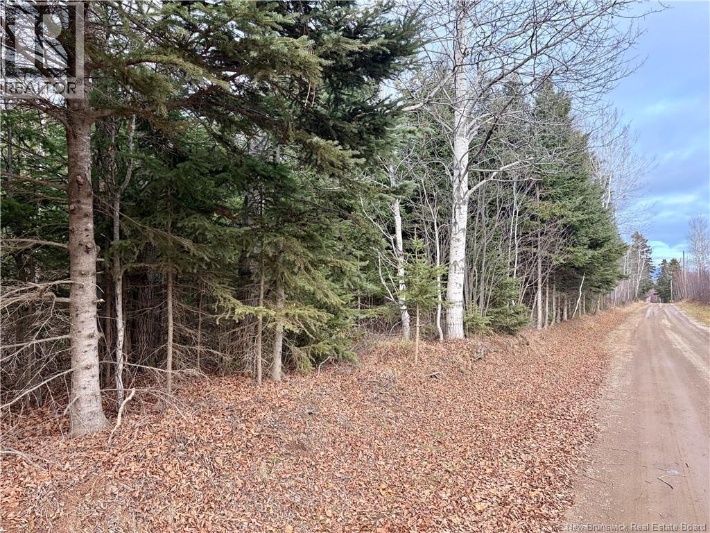 Vacant Land Cook Rd, Blackland, New Brunswick  E8E 2T9 - Photo 3 - NB130324