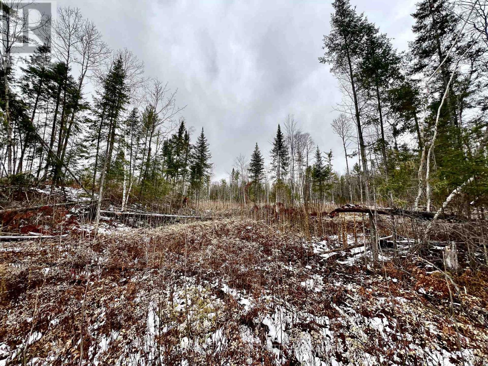 744 Black Creek Road, North Algona Wilberforce, Ontario  K8A 6W5 - Photo 12 - X12550820