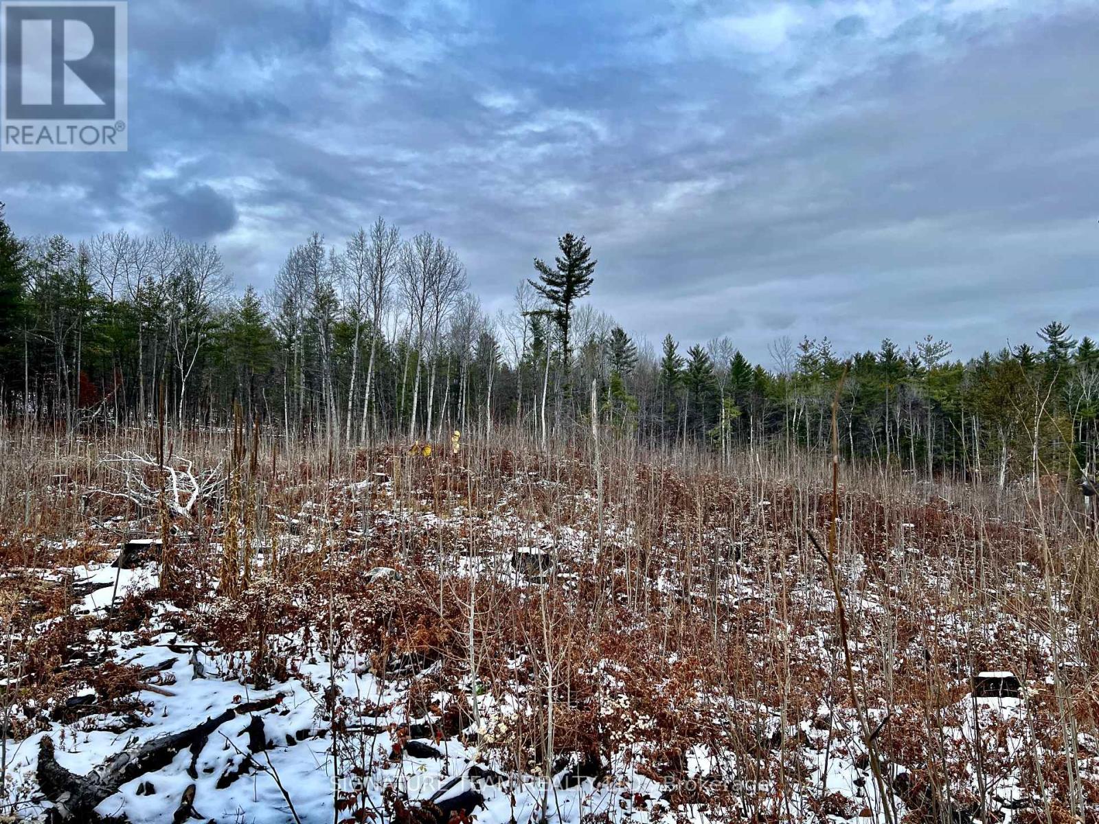 744 Black Creek Road, North Algona Wilberforce, Ontario  K8A 6W5 - Photo 11 - X12550820