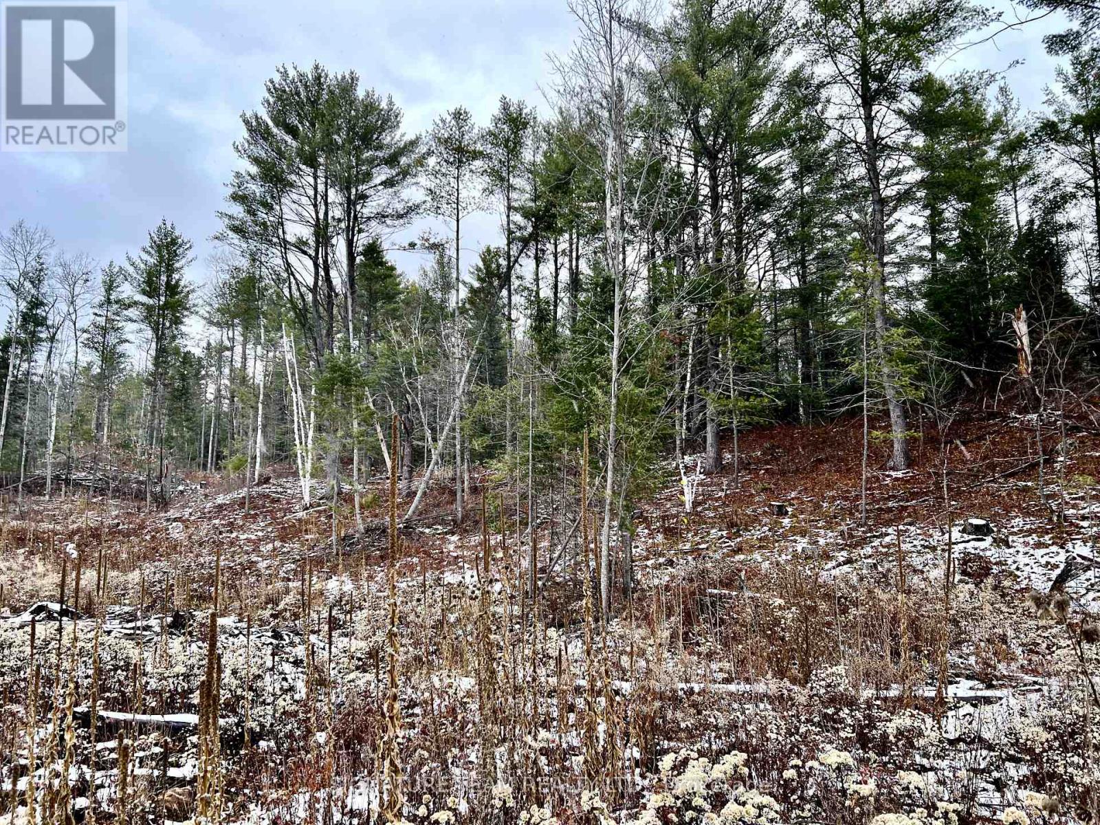 744 Black Creek Road, North Algona Wilberforce, Ontario  K8A 6W5 - Photo 14 - X12550820