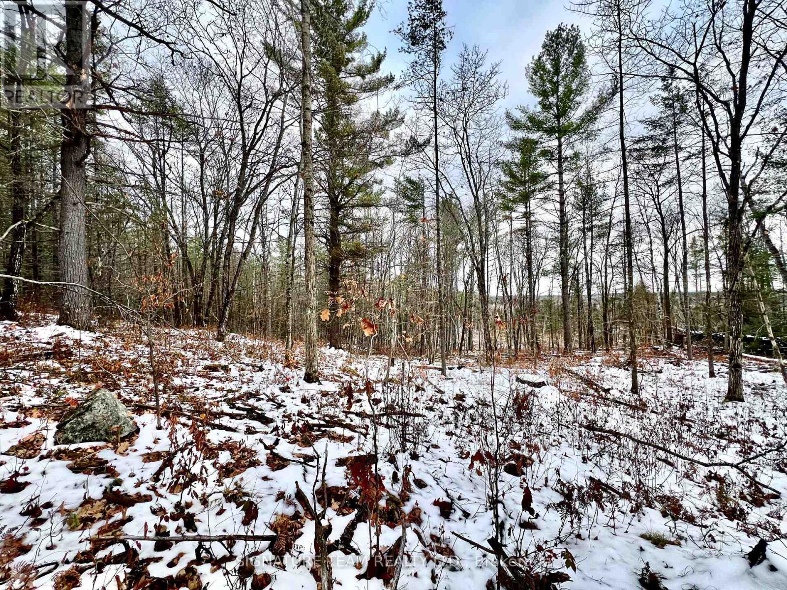 744 Black Creek Road, North Algona Wilberforce, Ontario  K8A 6W5 - Photo 23 - X12550820