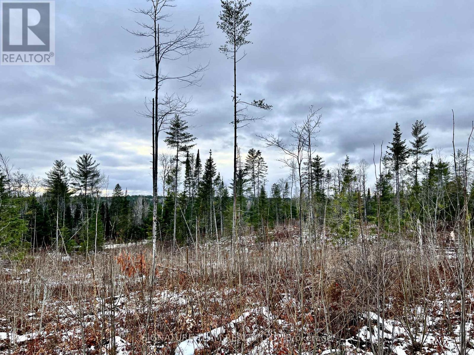 744 Black Creek Road, North Algona Wilberforce, Ontario  K8A 6W5 - Photo 10 - X12550820