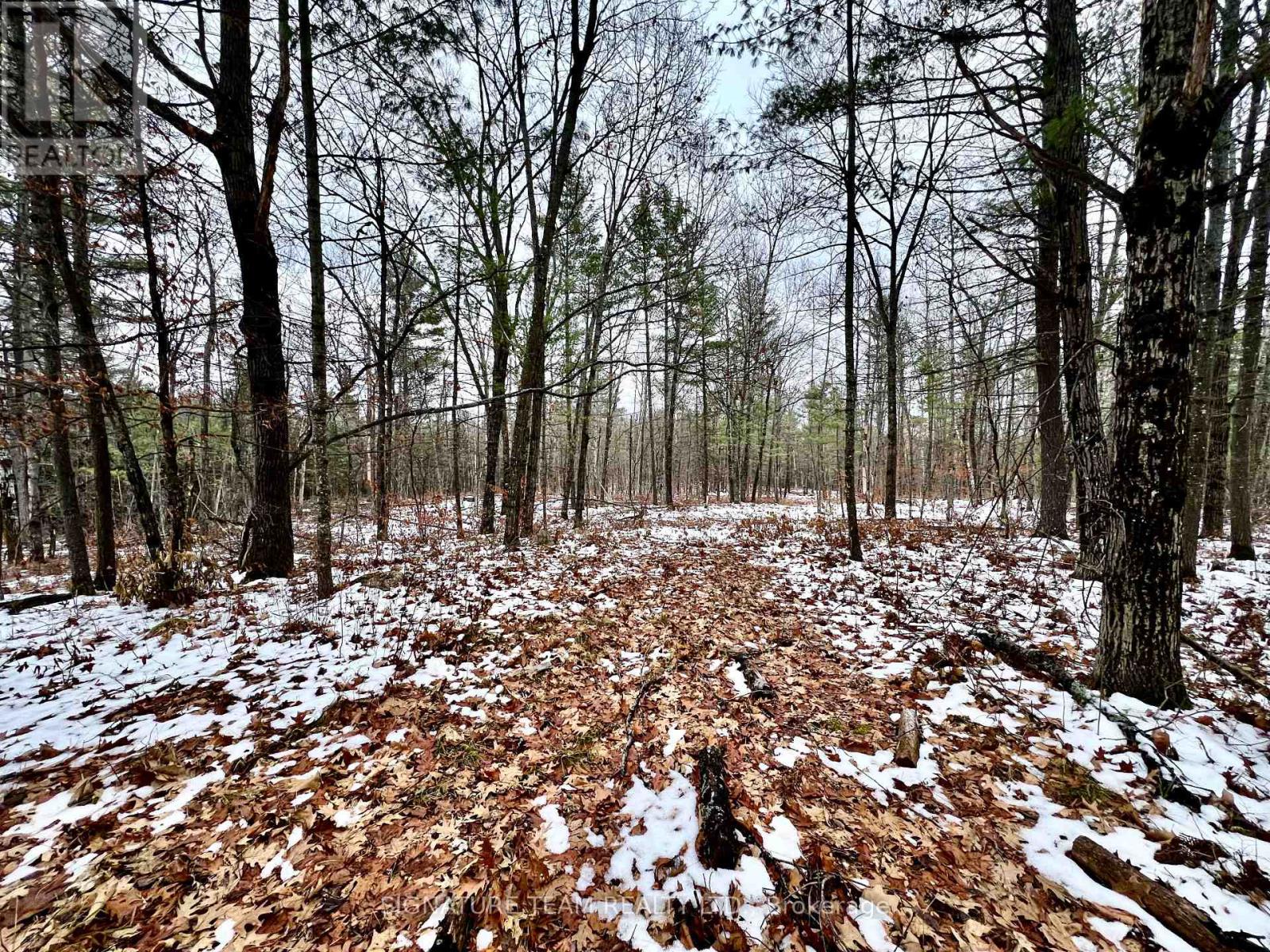 744 Black Creek Road, North Algona Wilberforce, Ontario  K8A 6W5 - Photo 20 - X12550820