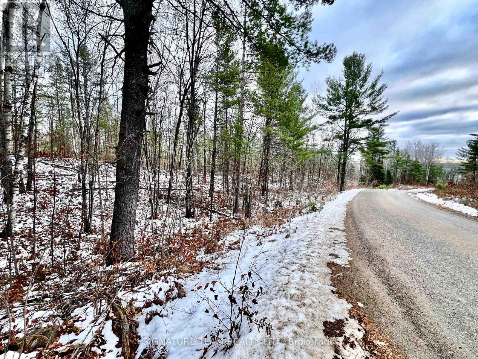 744 Black Creek Road, North Algona Wilberforce, Ontario  K8A 6W5 - Photo 19 - X12550820