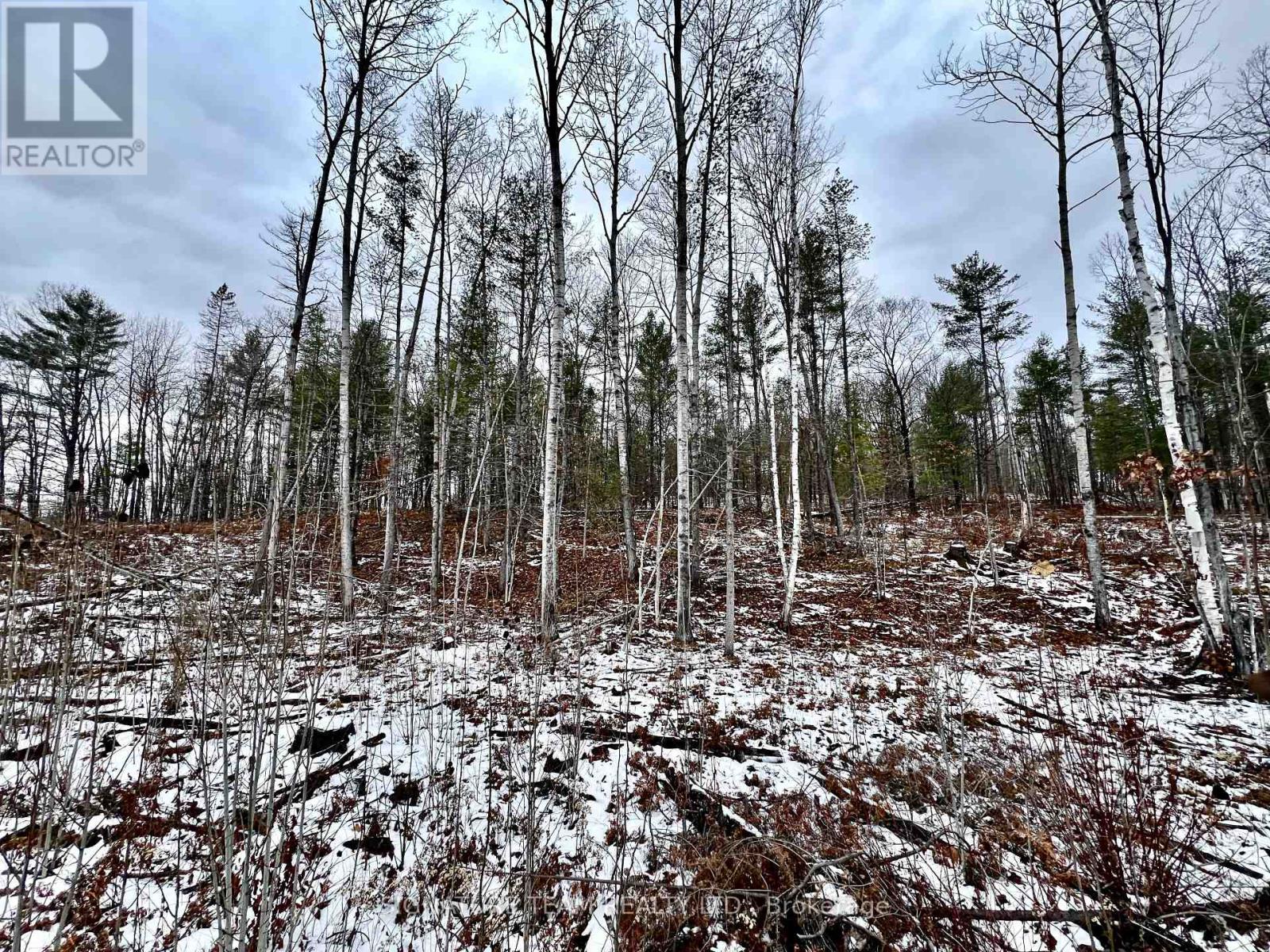 744 Black Creek Road, North Algona Wilberforce, Ontario  K8A 6W5 - Photo 16 - X12550820