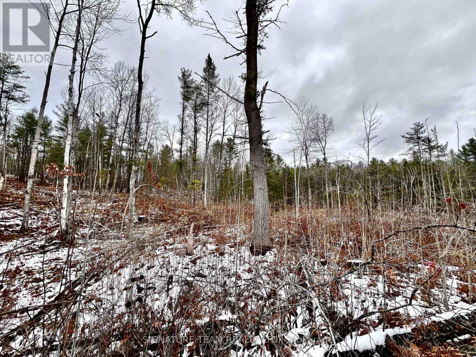 744 Black Creek Road, North Algona Wilberforce, Ontario  K8A 6W5 - Photo 17 - X12550820