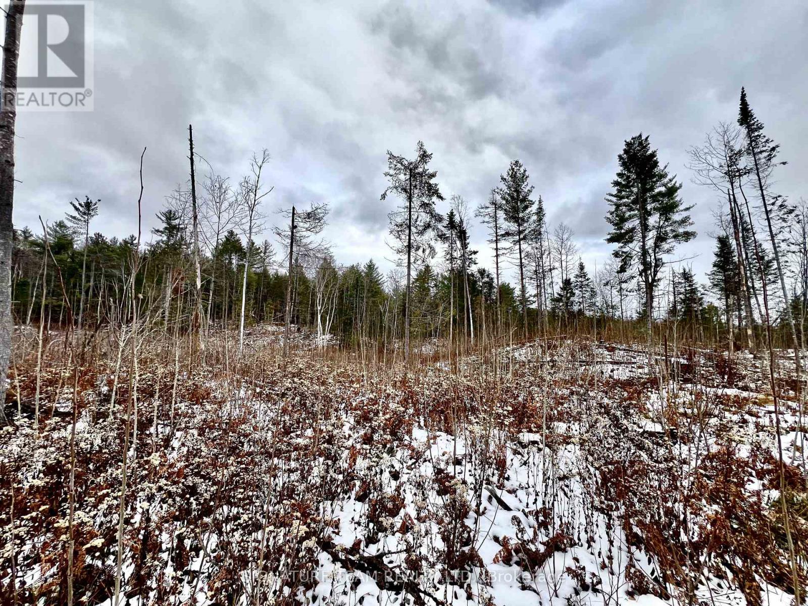 744 Black Creek Road, North Algona Wilberforce, Ontario  K8A 6W5 - Photo 15 - X12550820