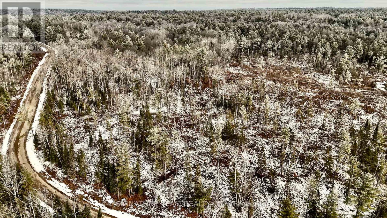 744 Black Creek Road, North Algona Wilberforce, Ontario  K8A 6W5 - Photo 26 - X12550820