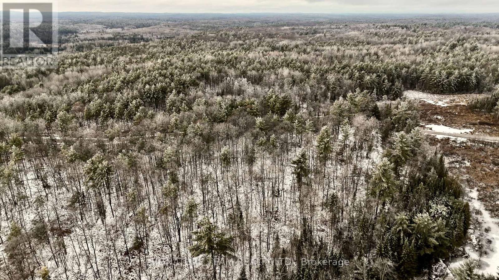 744 Black Creek Road, North Algona Wilberforce, Ontario  K8A 6W5 - Photo 31 - X12550820