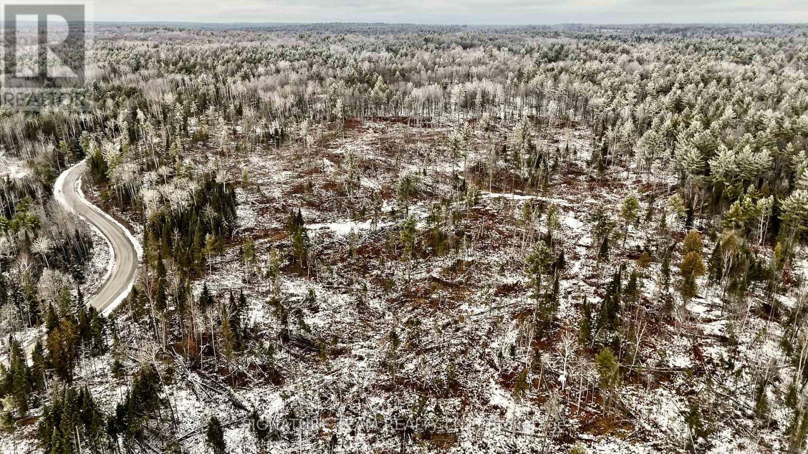 744 Black Creek Road, North Algona Wilberforce, Ontario  K8A 6W5 - Photo 35 - X12550820