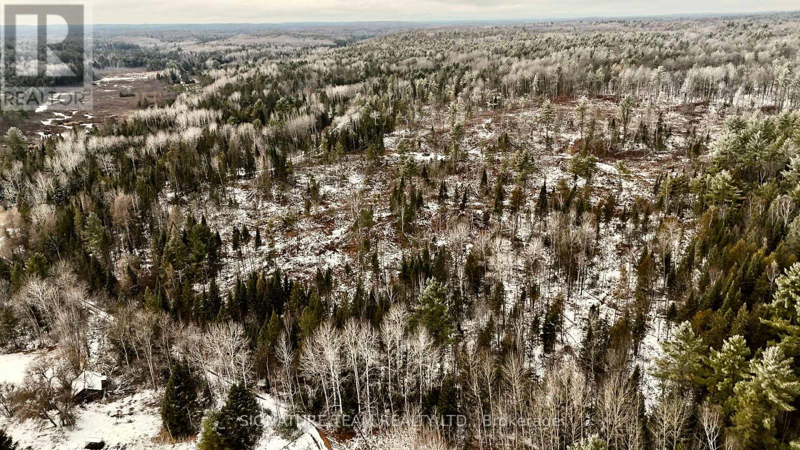 744 Black Creek Road, North Algona Wilberforce, Ontario  K8A 6W5 - Photo 34 - X12550820