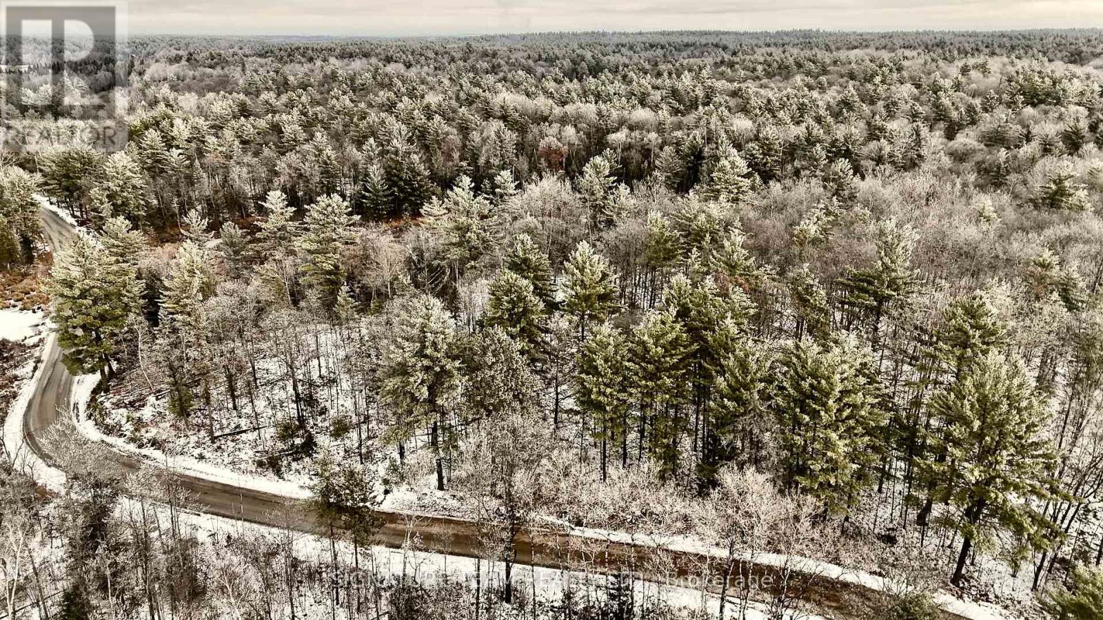 744 Black Creek Road, North Algona Wilberforce, Ontario  K8A 6W5 - Photo 28 - X12550820