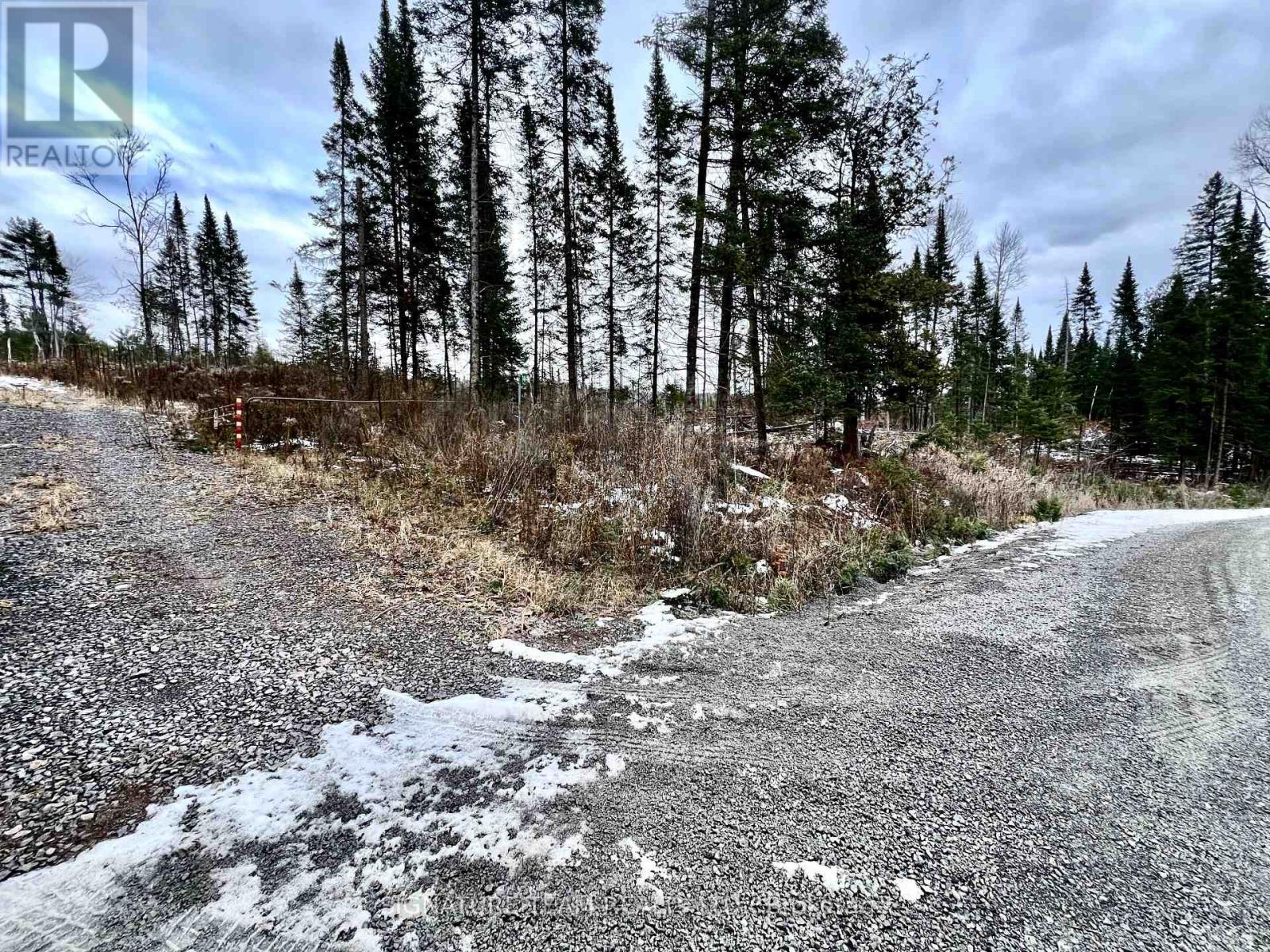 744 Black Creek Road, North Algona Wilberforce, Ontario  K8A 6W5 - Photo 6 - X12550820