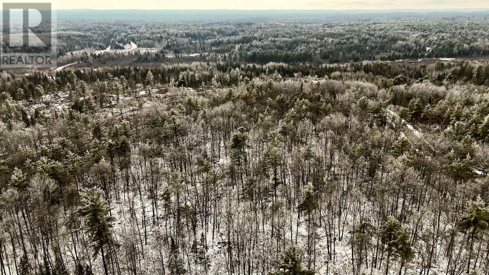 744 Black Creek Road, North Algona Wilberforce, Ontario  K8A 6W5 - Photo 29 - X12550820