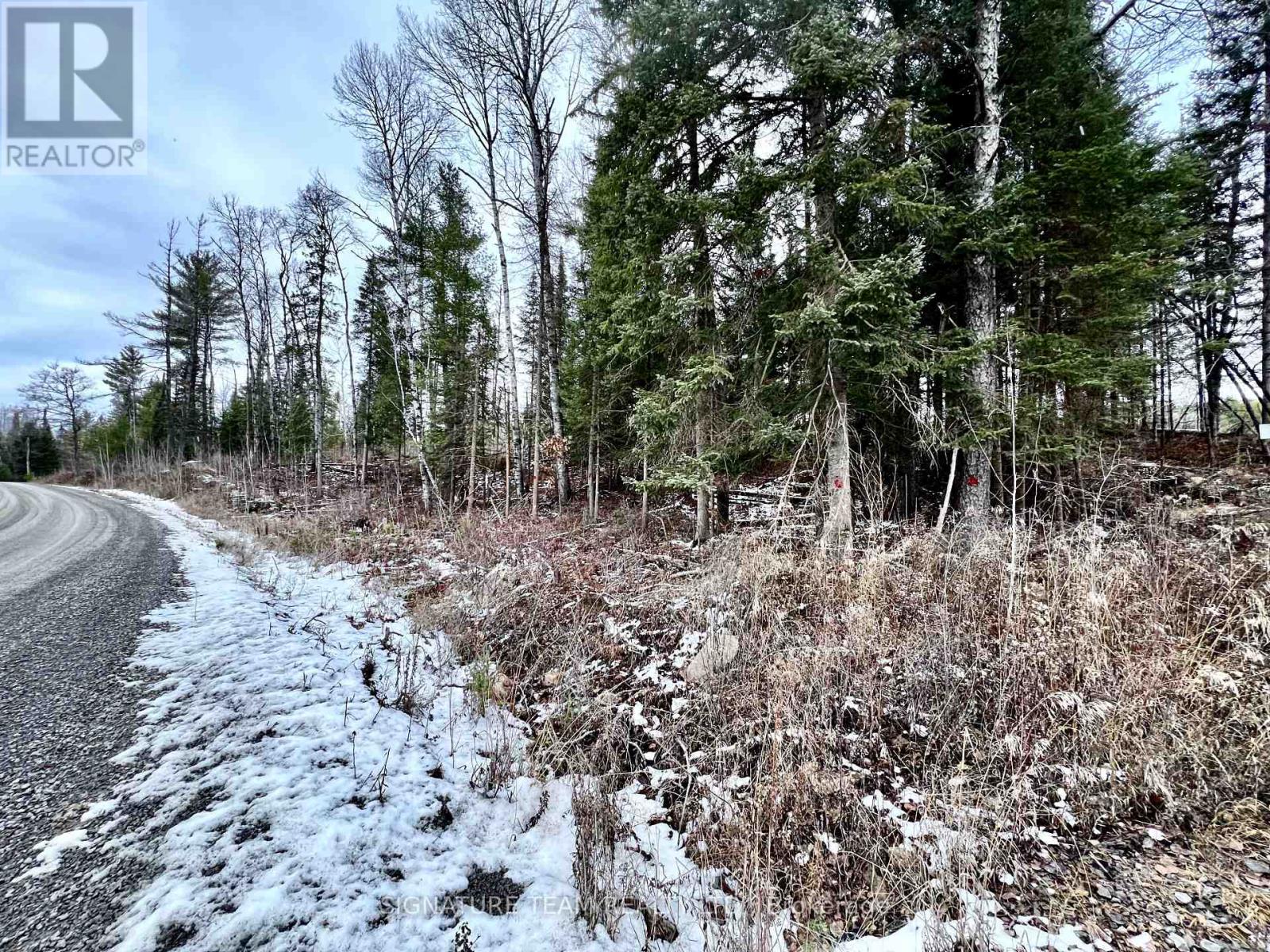 744 Black Creek Road, North Algona Wilberforce, Ontario  K8A 6W5 - Photo 7 - X12550820