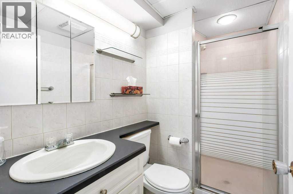 4217 43 Avenue, Red Deer, Alberta  T4N 3C1 - Photo 35 - A2270971