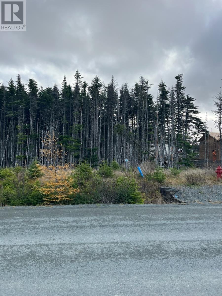 20 Keeley Lane, Portugal Cove - St. Philips, Newfoundland & Labrador