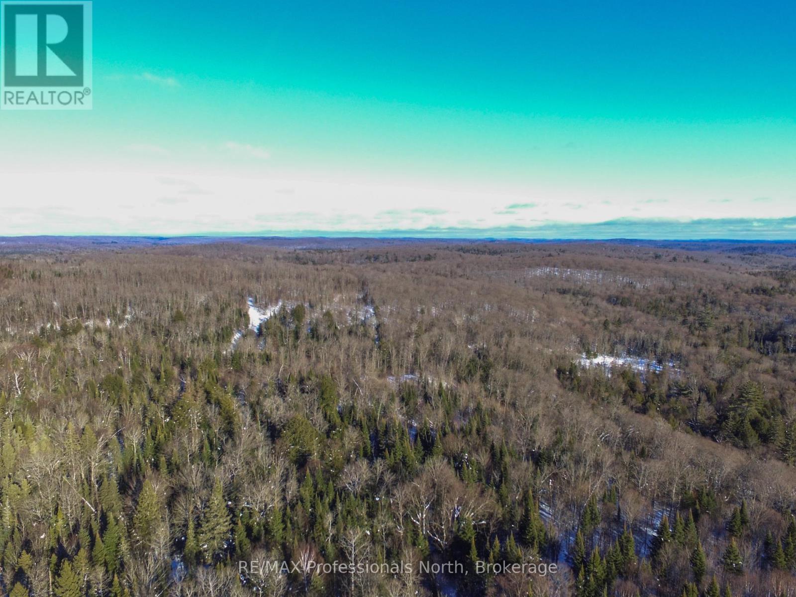 274 Echo Ridge Road, Kearney, Ontario  P0A 1M0 - Photo 27 - X12545604