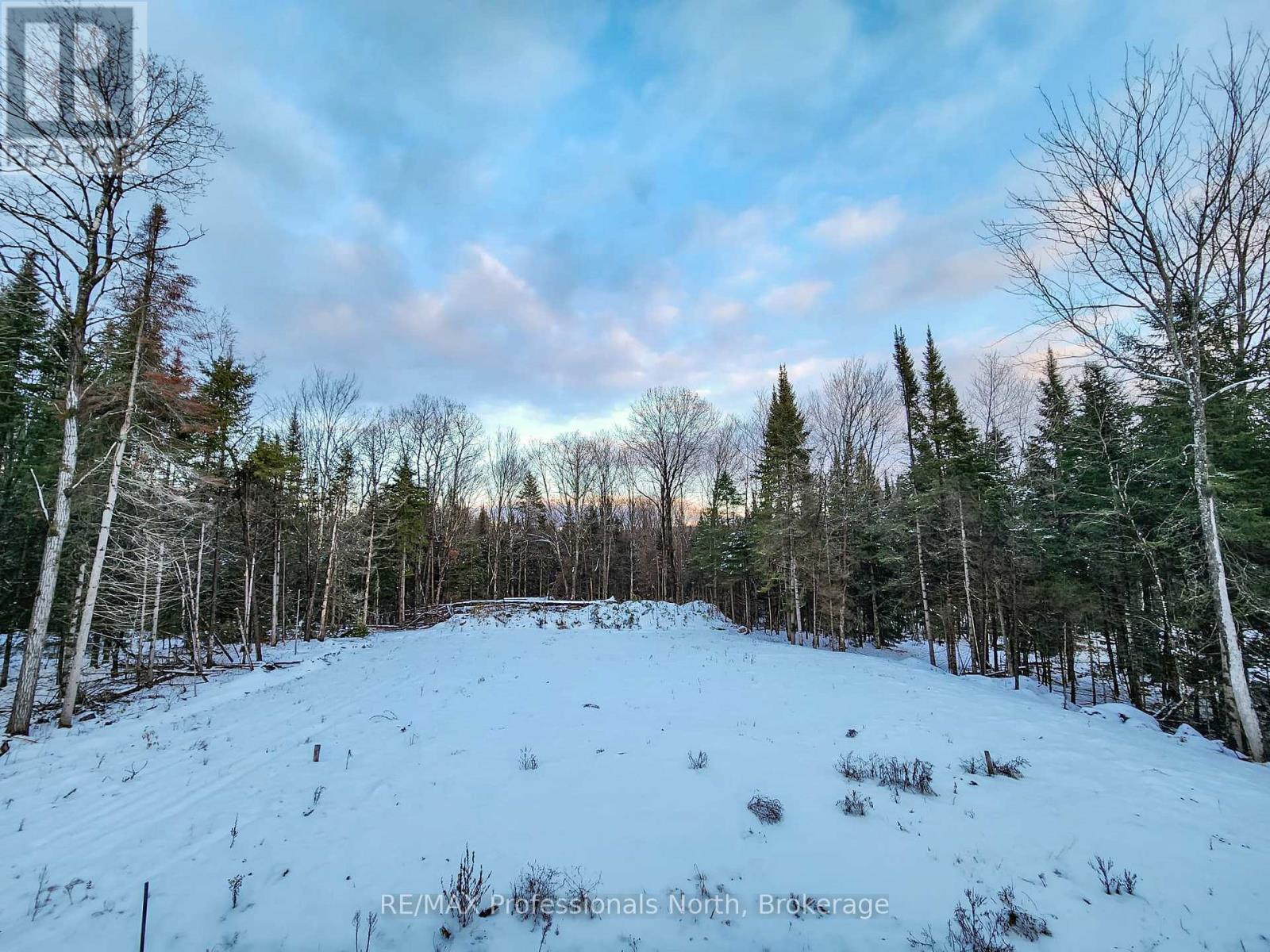 274 Echo Ridge Road, Kearney, Ontario  P0A 1M0 - Photo 31 - X12545604