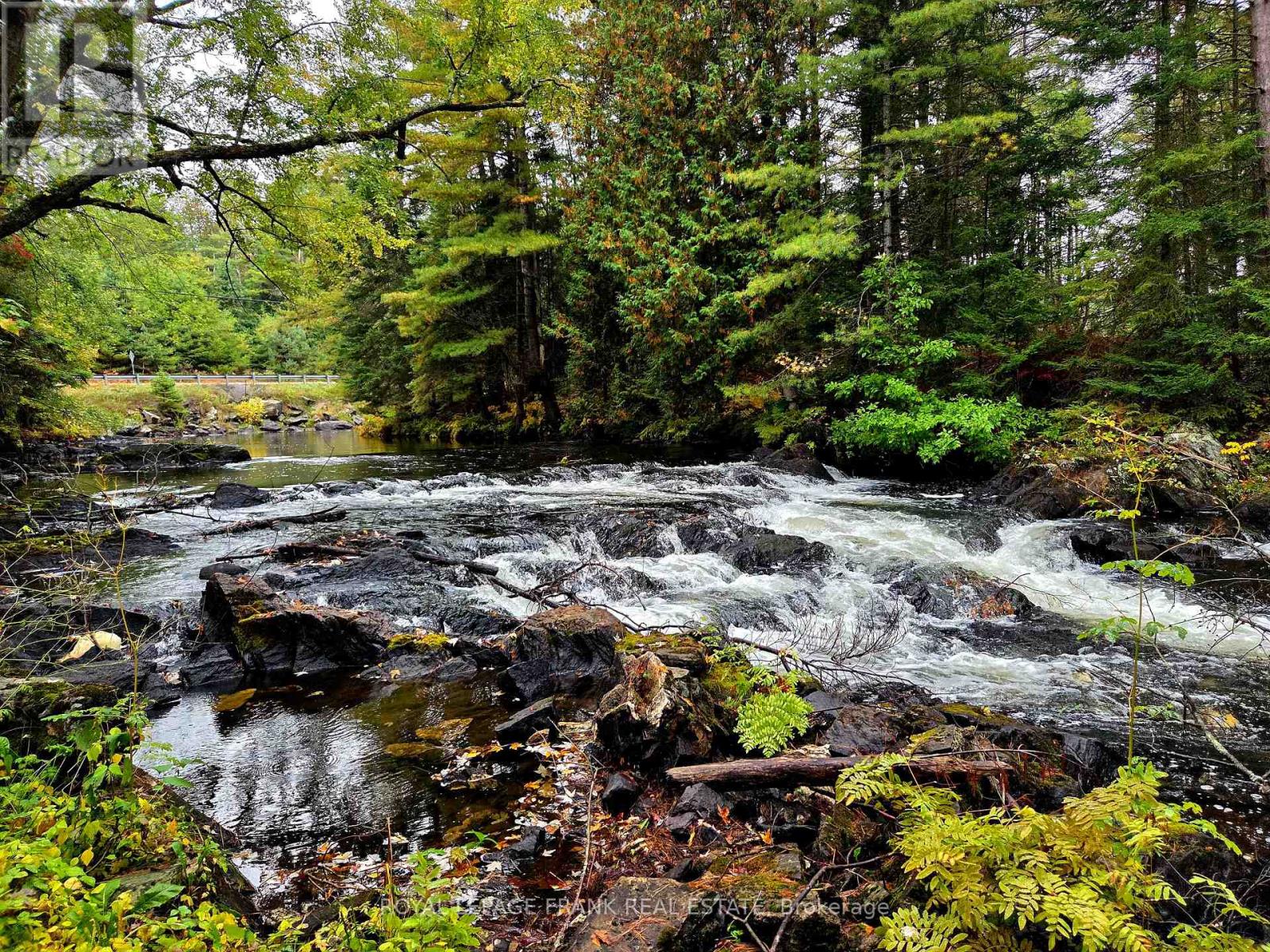 8847 HIGHWAY 28, North Kawartha, Ontario