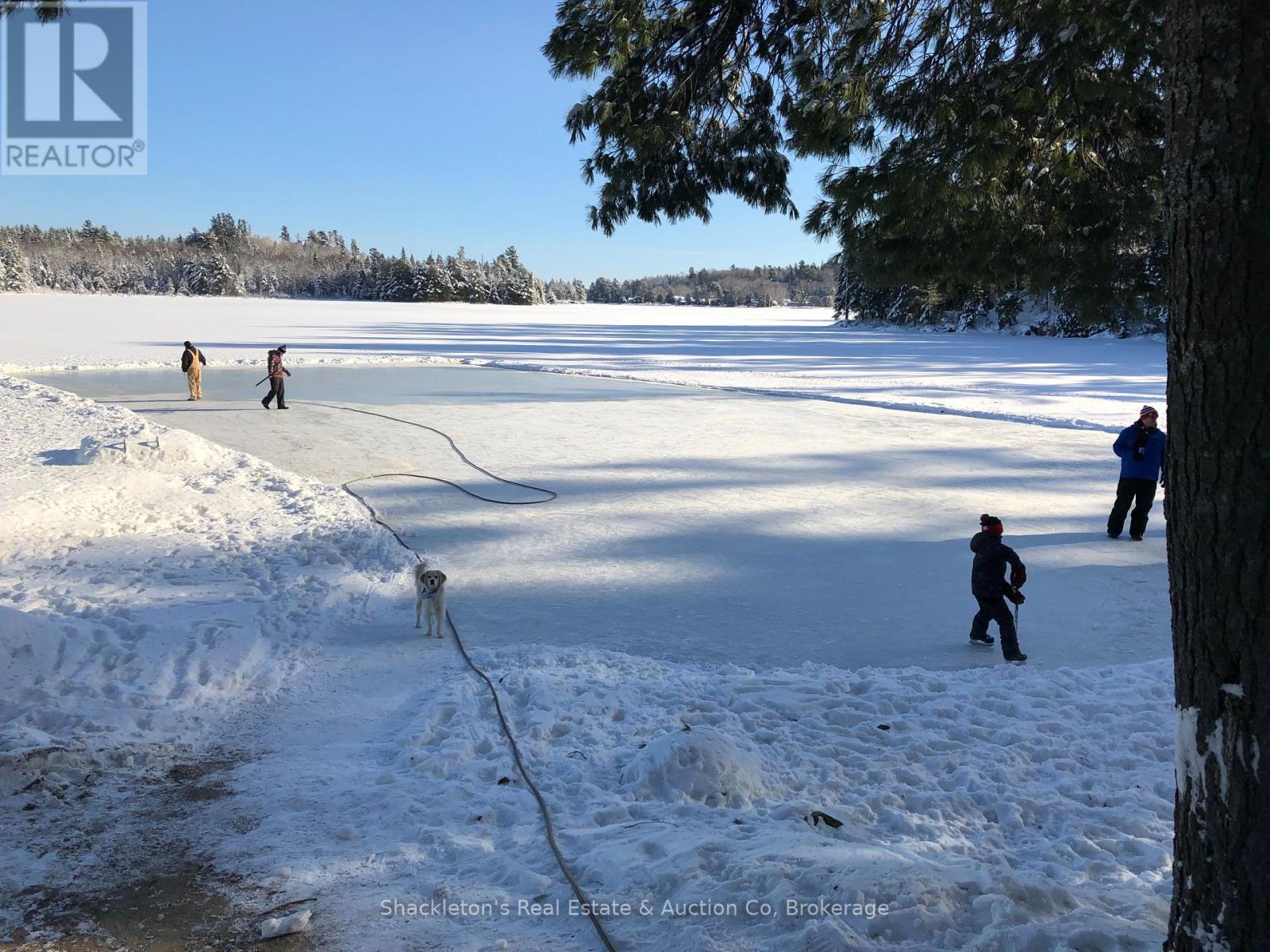 2407 Highway 11 Highway N, Unorganized Townships, Ontario  P0H 1T0 - Photo 27 - X12563822