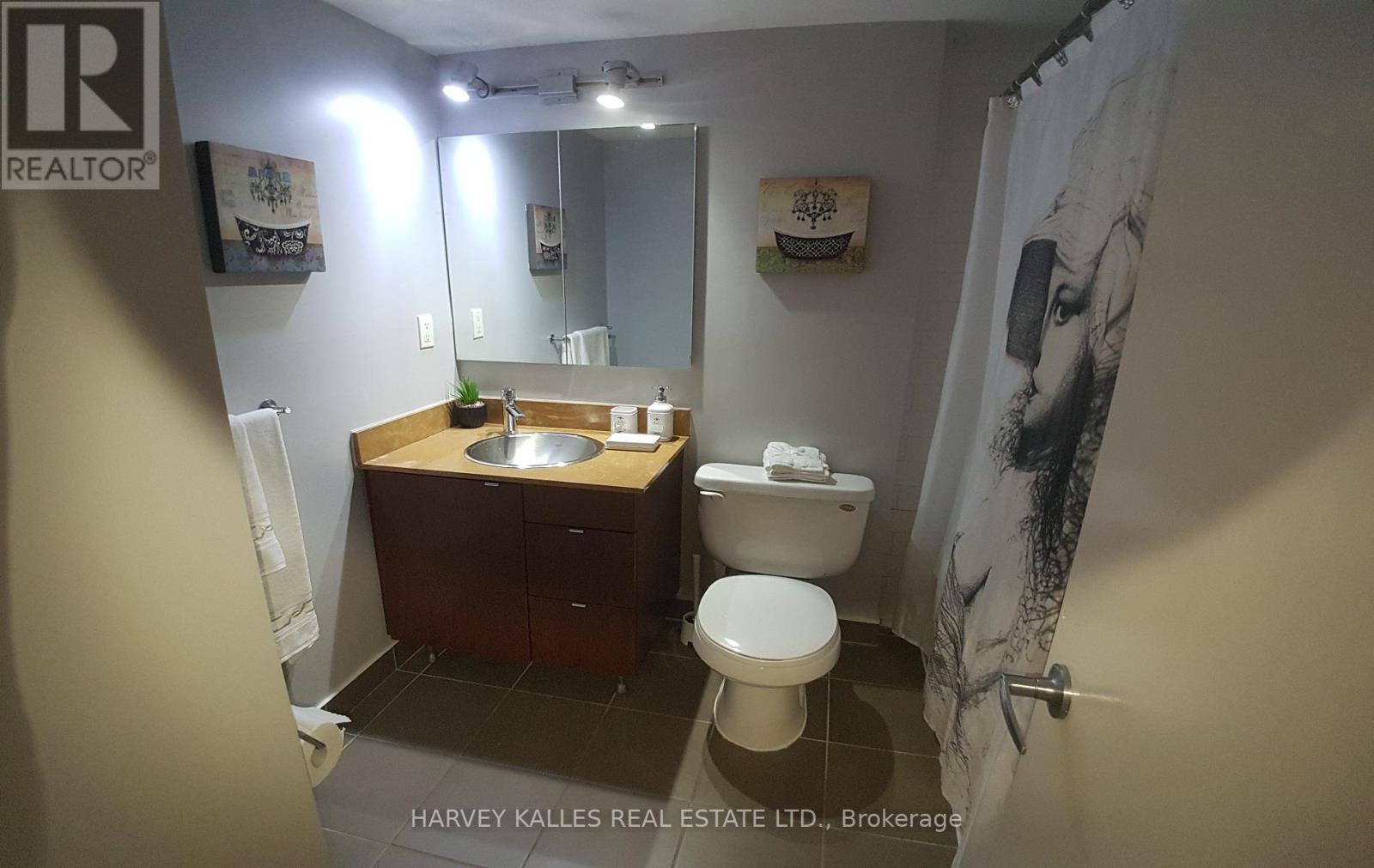 314 - 33 Lombard Street, Toronto, Ontario  M5C 3H8 - Photo 11 - C12563690