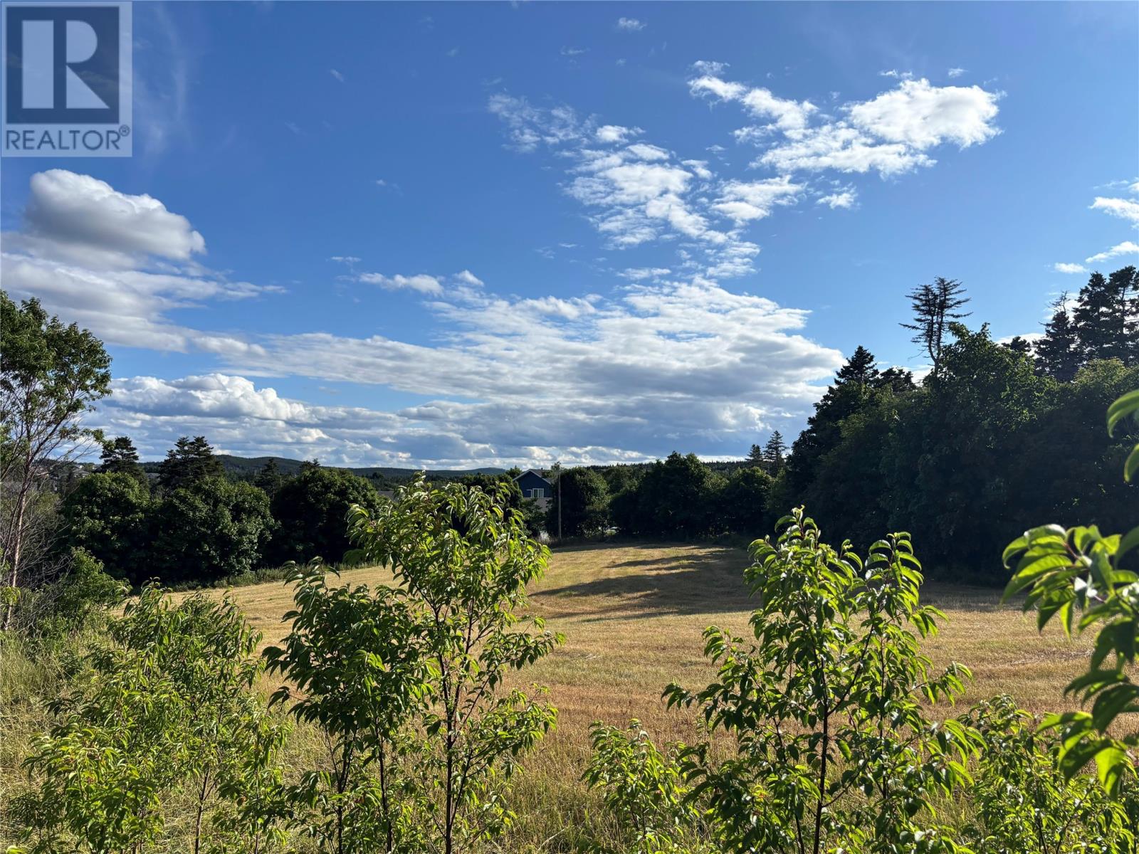 21-29 Hiscock's Lane, Torbay, Newfoundland & Labrador  A1B 3K3 - Photo 2 - 1289581