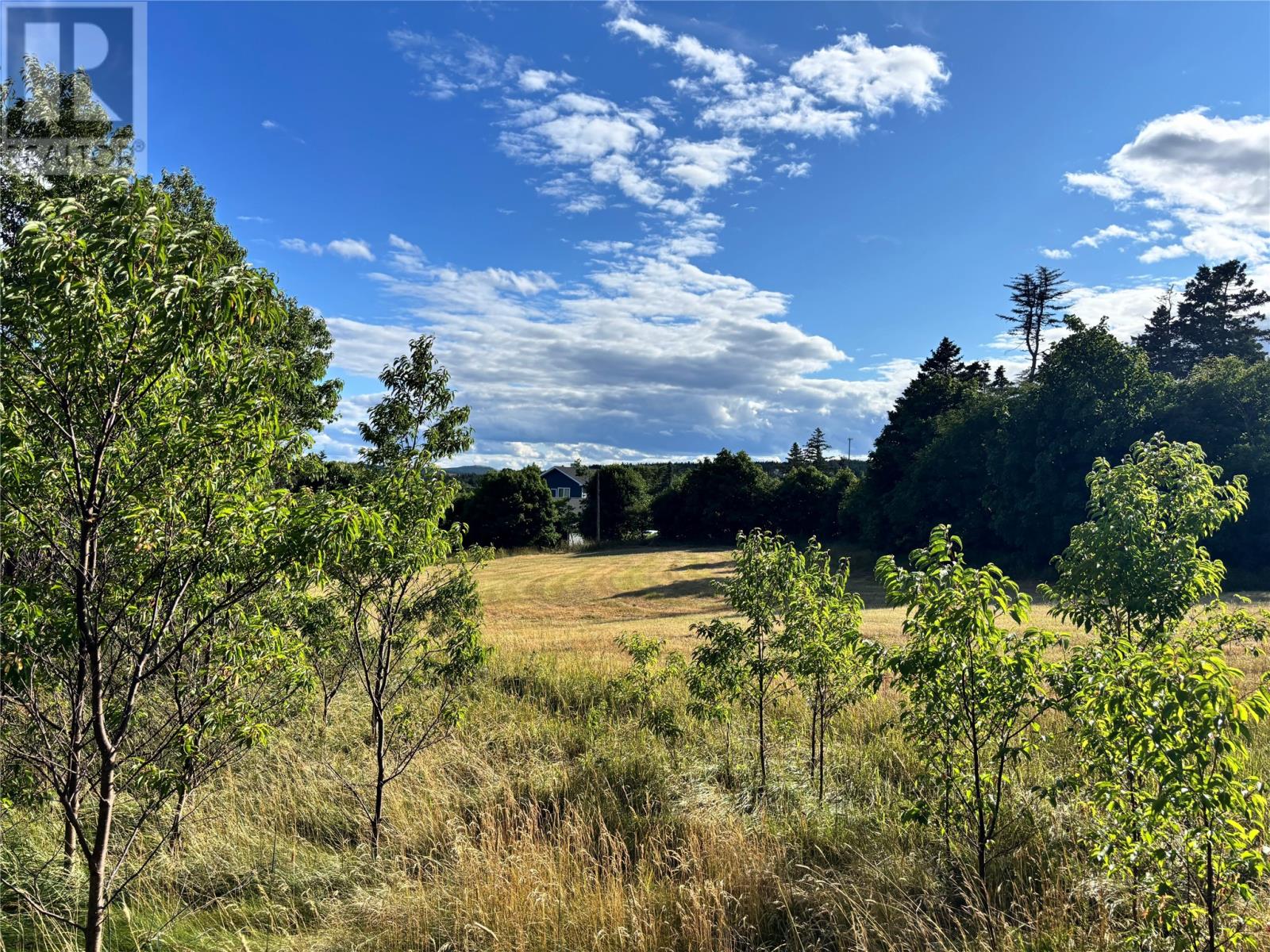 21-29 Hiscock's Lane, Torbay, Newfoundland & Labrador  A1B 3K3 - Photo 3 - 1289581