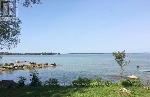 14 Patty Lane, Georgina, Ontario  L5E 1S0 - Photo 15 - N12563246