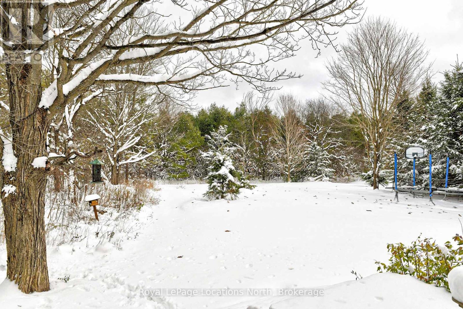 255 Blue Jay Crescent, Grey Highlands, Ontario  N0C 1H0 - Photo 35 - X12563910