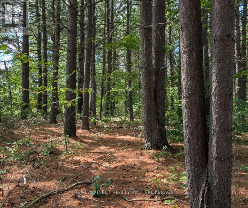 0 Davey Road, Frontenac, Ontario  K0H 1T0 - Photo 1 - X12563980