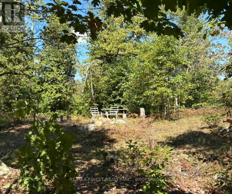 0 Davey Road, Frontenac, Ontario  K0H 1T0 - Photo 10 - X12563980