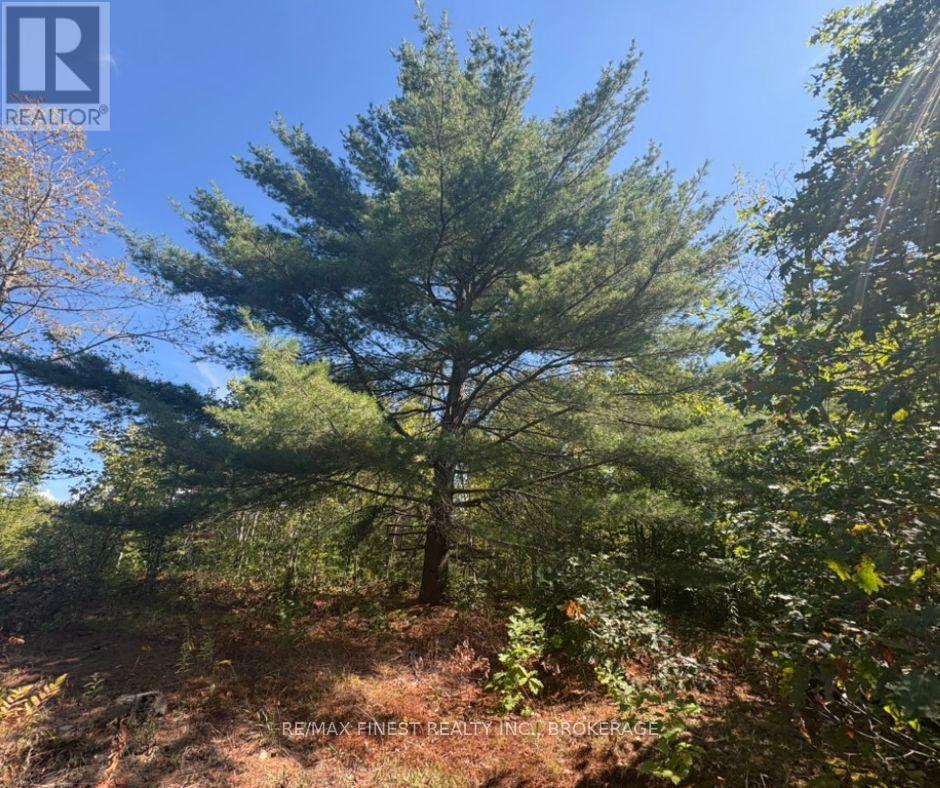 0 Davey Road, Frontenac, Ontario  K0H 1T0 - Photo 11 - X12563980