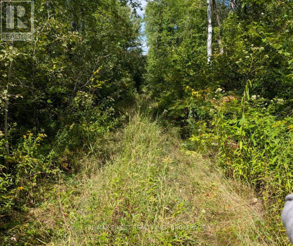 0 Davey Road, Frontenac, Ontario  K0H 1T0 - Photo 4 - X12563980