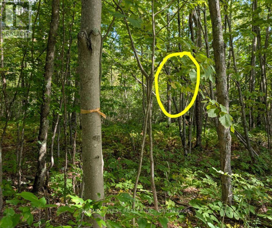 0 Davey Road, Frontenac, Ontario  K0H 1T0 - Photo 5 - X12563980