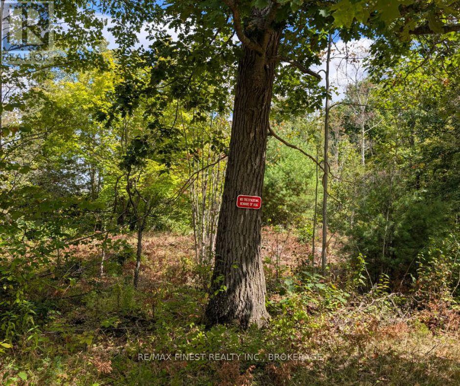 0 Davey Road, Frontenac, Ontario  K0H 1T0 - Photo 6 - X12563980