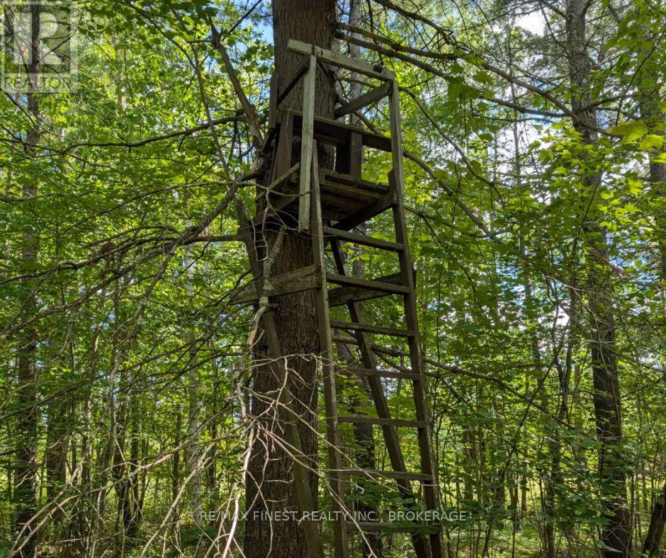 0 Davey Road, Frontenac, Ontario  K0H 1T0 - Photo 7 - X12563980