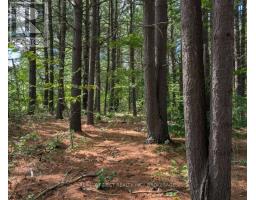 0 DAVEY ROAD, Frontenac, Ontario