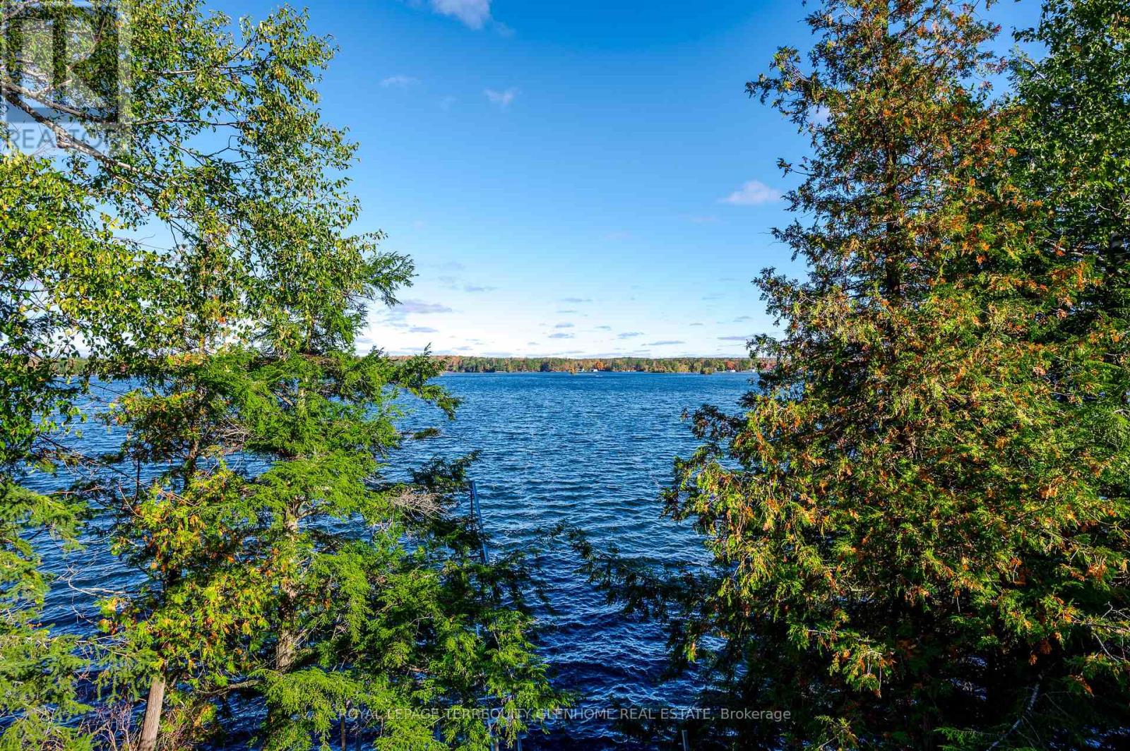 4 & 9 Fire Route 66d Lane N, Trent Lakes, Ontario  K0L 2J0 - Photo 26 - X12474057