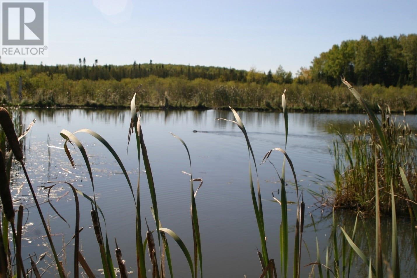 Lt 7 Con 8 Oliver, Thunder Bay, Ontario  P0T 2G0 - Photo 5 - TB251547