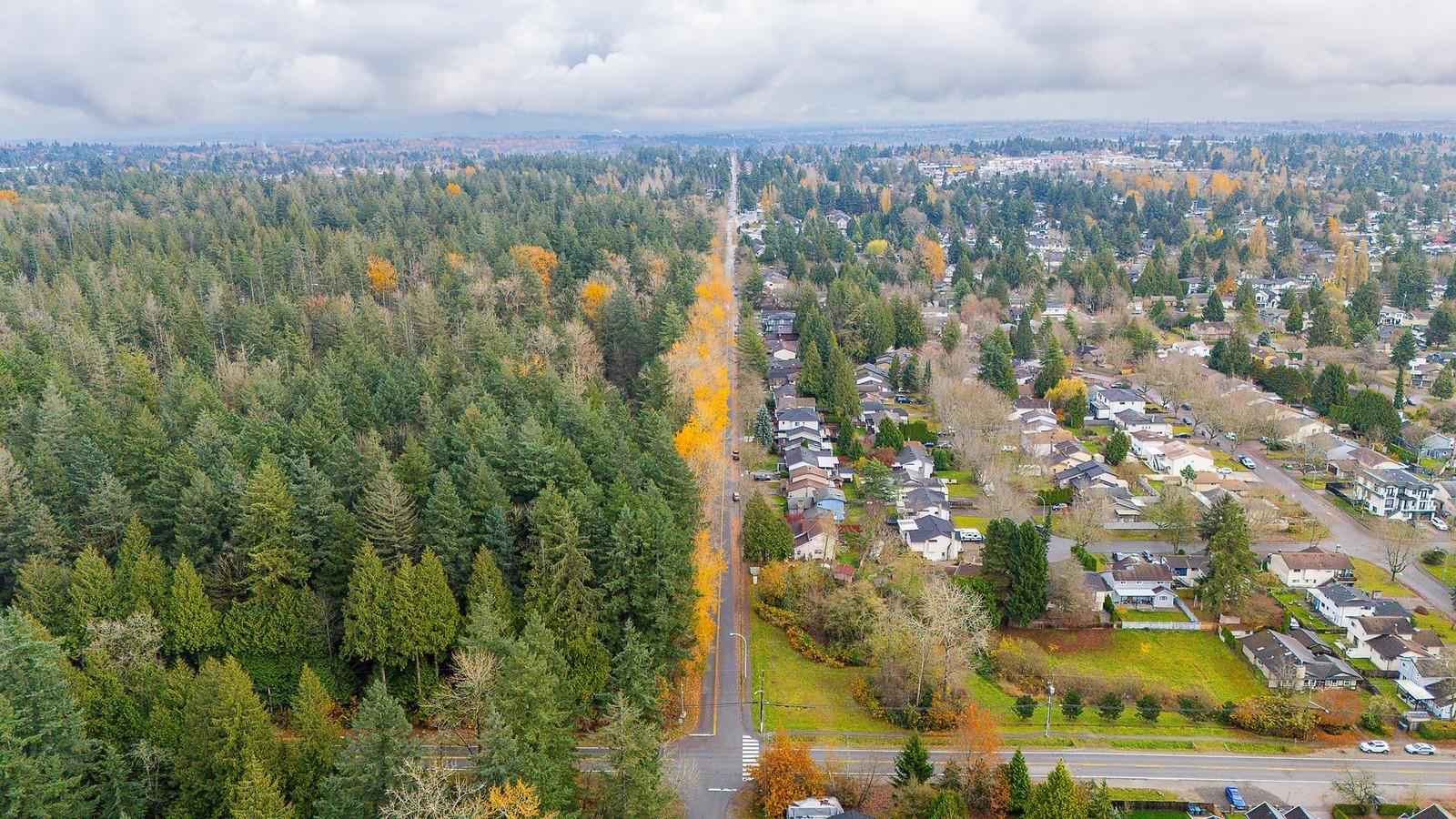 9120 145a Street, Surrey, British Columbia  V3R 7L7 - Photo 33 - R3069046