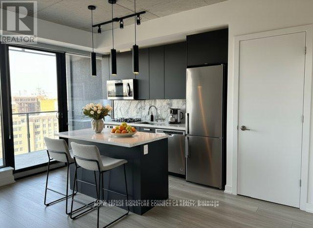 1102 - 458 Richmond Street W, Toronto, Ontario  M5V 1Y1 - Photo 3 - C12490370